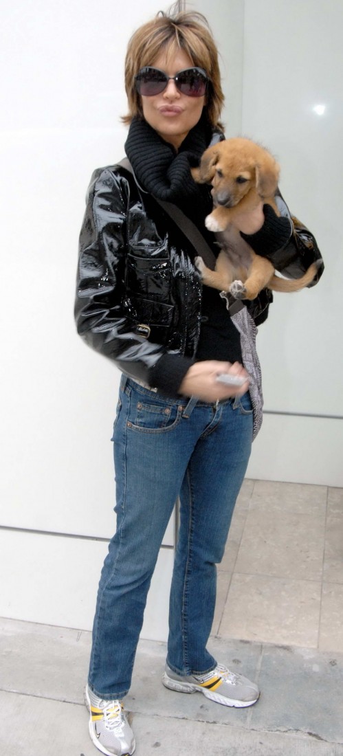 Updates: Chickz & Kickz   01.04.2008