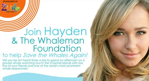 hayden-ebay.jpg