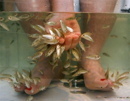 Fish Pedicures
