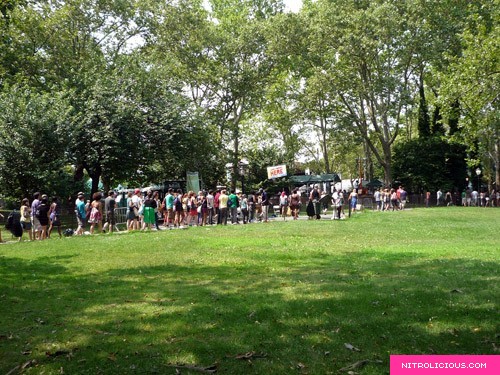 Central Park SummerStage Mad Fools in the Park Concert