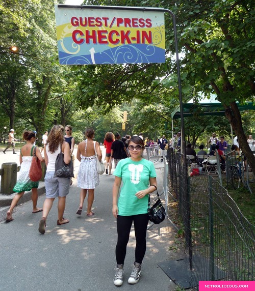 Central Park SummerStage Mad Fools in the Park Concert