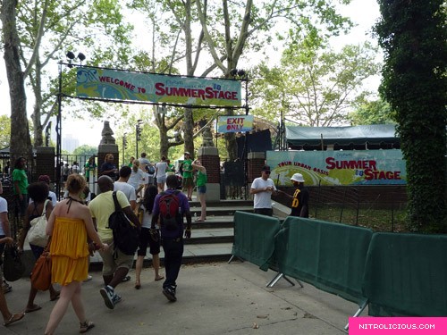 Central Park SummerStage Mad Fools in the Park Concert