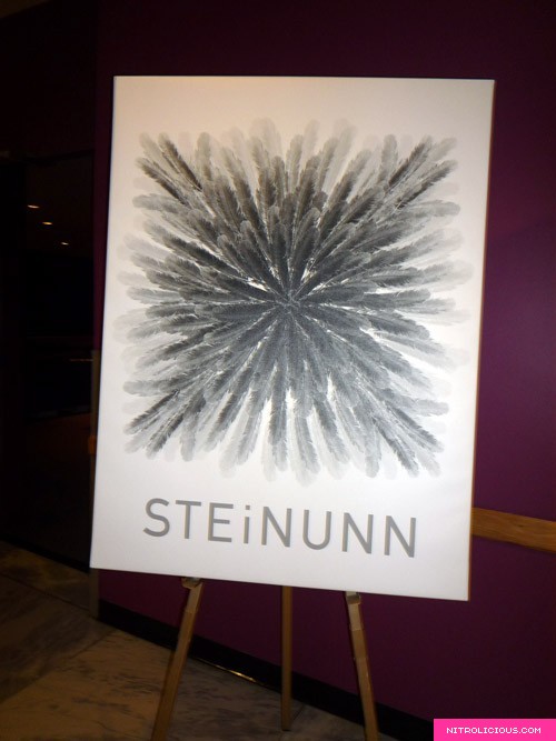 STEiNUNN Spring 2009 Collection   September 5