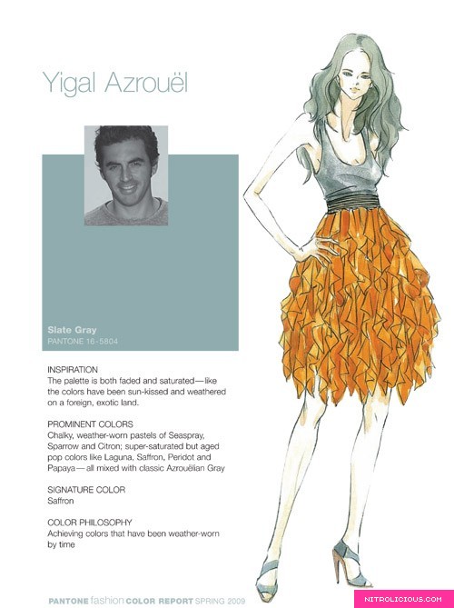 Pantone Fashion Color Report   Spring 2009
