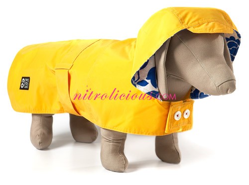 on dog raincoat photo Old Navy Early Spring 2009 Collection Preview