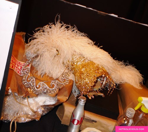 Barbie Fashion Show 2009 Collection + Backstage
