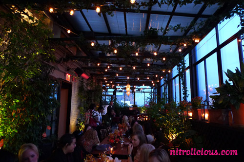Gossip Girl: Real NYC Stories Revealed presented by Dove Go Fresh!