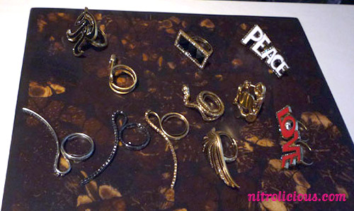 Rachel Roy Blogger Meet + Rachel Rachel Roy Fall 09 Preview