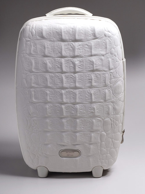 Samsonite by Alexander McQueen Sale on GILT