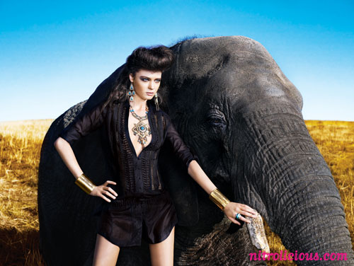 bebe Summer 2009 A Safari State of Mind Catalog