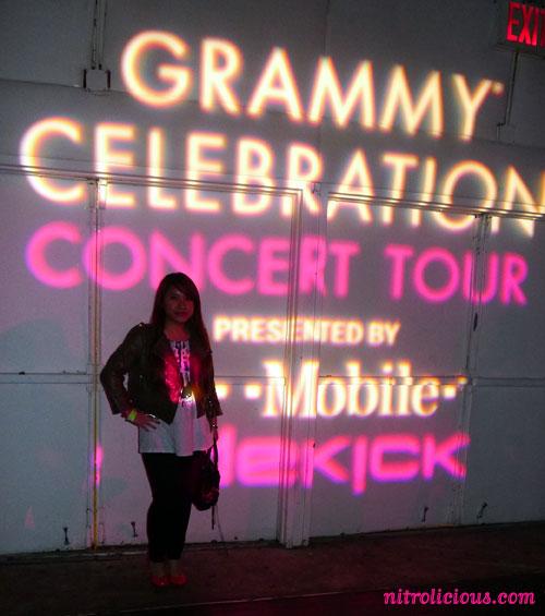 T Mobile Sidekick Grammy Celebration Concert Tour: Estelle + LL Cool J