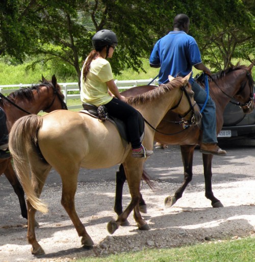 Jamaica Day 3: Beach Ride with Horses @ Half Moon