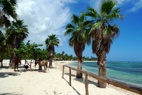 Jamaica Day 3: Beach Ride with Horses @ Half Moon