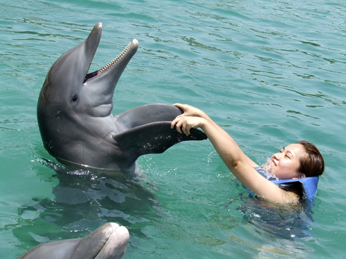 Jamaica Day 6: Dolphin Swim + Goodbye