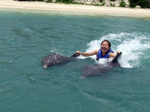 Jamaica Day 6: Dolphin Swim + Goodbye
