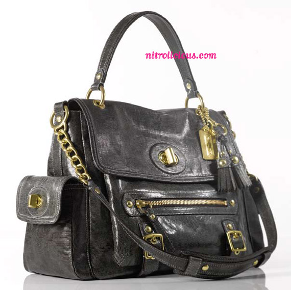 Coach Spring 2010 Collection
