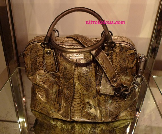 Coach Fall 2010 Collection Preview