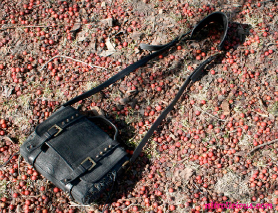 Pour La Victoire Launches Handbag Collection