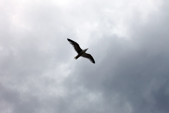 Montauk Weekend Photo Diary