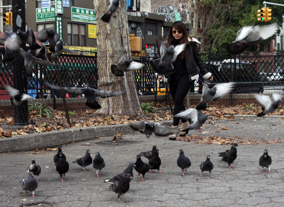 Outfit: A Stroll With The Pigeons...