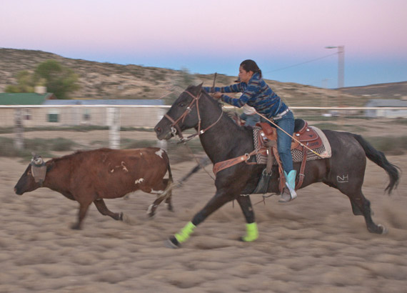 Levis Workwear by Pendleton Collection