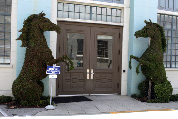 IMG_6001 Rise of the Planet of the Apes Rise 50 Summit