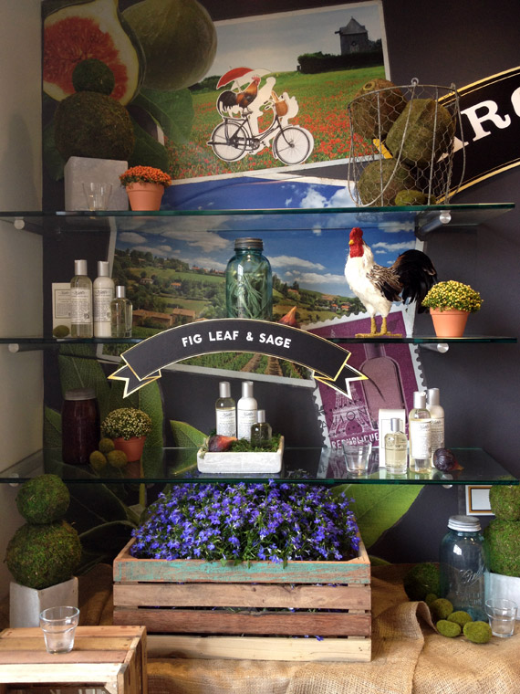 kiehls-aromatic-blends-06 Kiehls Aromatic Blends Collection