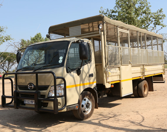 South Africa Day 2: Lion Park