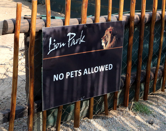 South Africa Day 2: Lion Park
