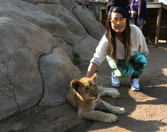 South Africa Day 2: Lion Park