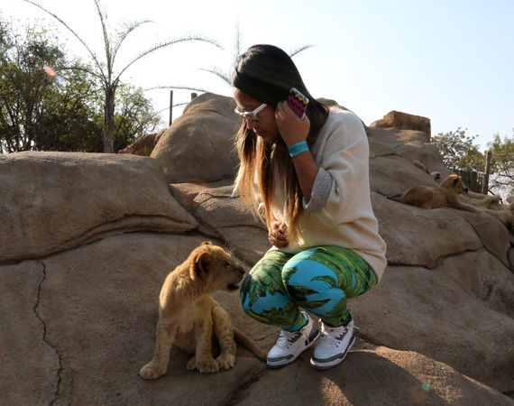 South Africa Day 2: Lion Park