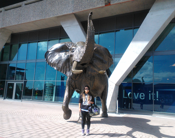 South Africa Day 6: Hello Cape Town!