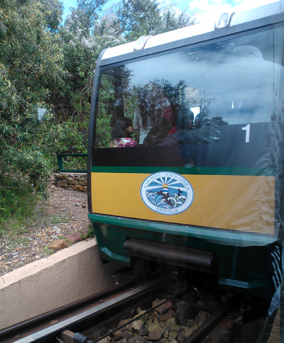 South Africa Day 7: Cape Point, Chapmans Peak & Signal Hill