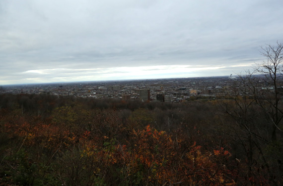 Montréal Day 4: Romados, Mont Royal, Biodôme, Au Pied de Cochon