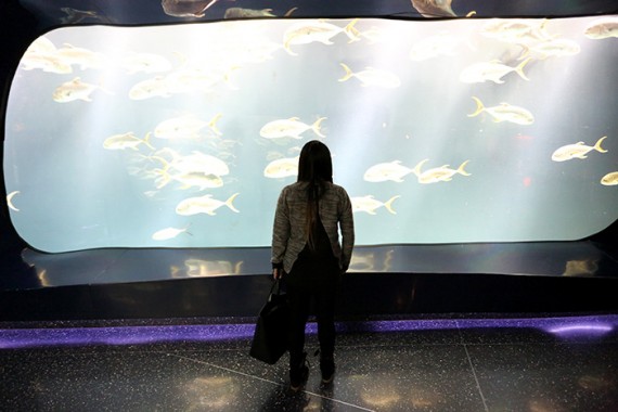 Atlanta Photo Diary
